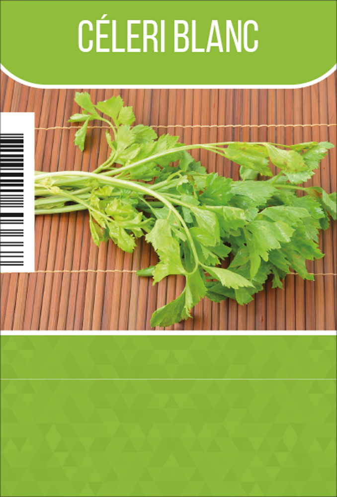 Céleri blanc tray (8x6)