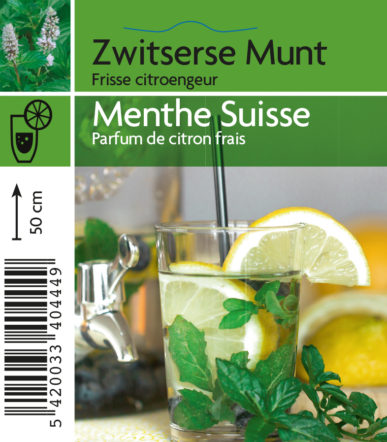 Menthe suisse