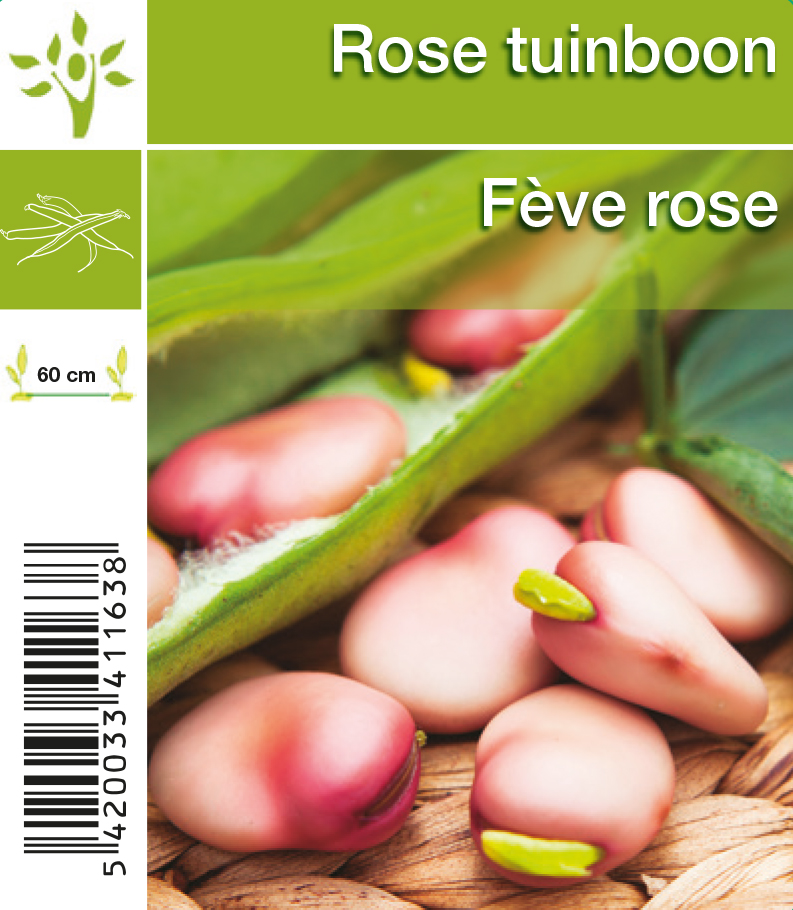 Féve rose