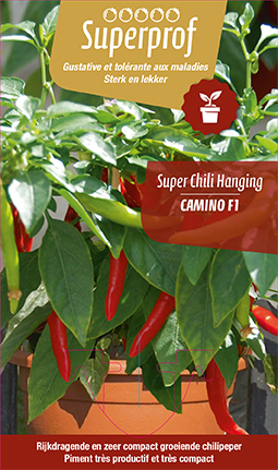 Super chili hanging