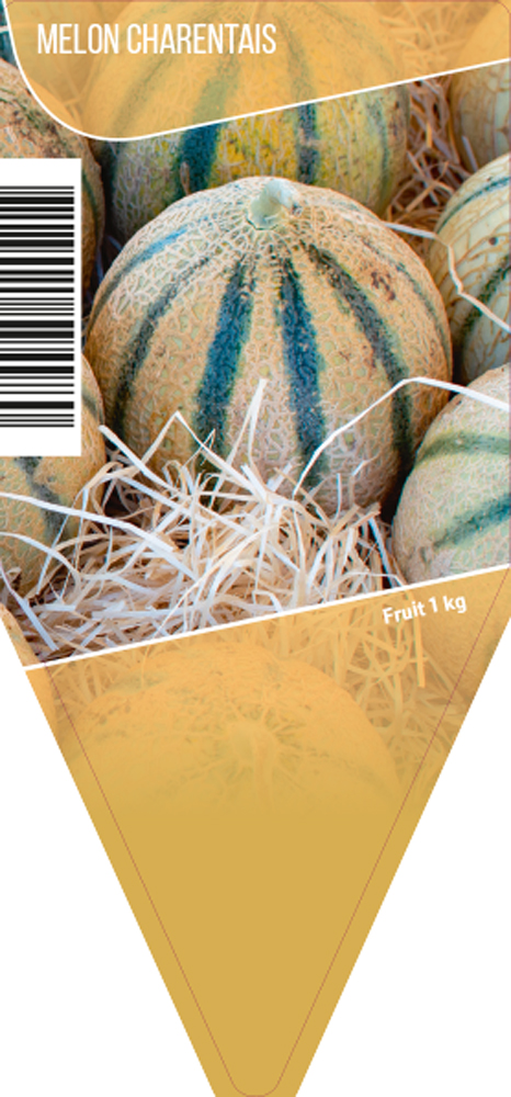 Melon pot 10,5