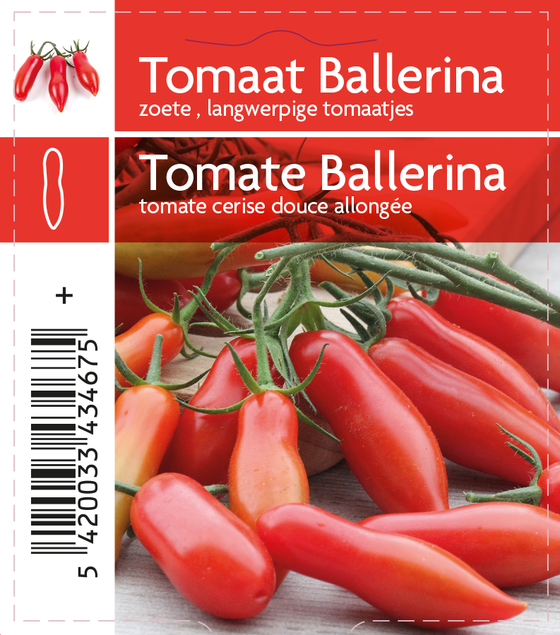 Tomate ballerina