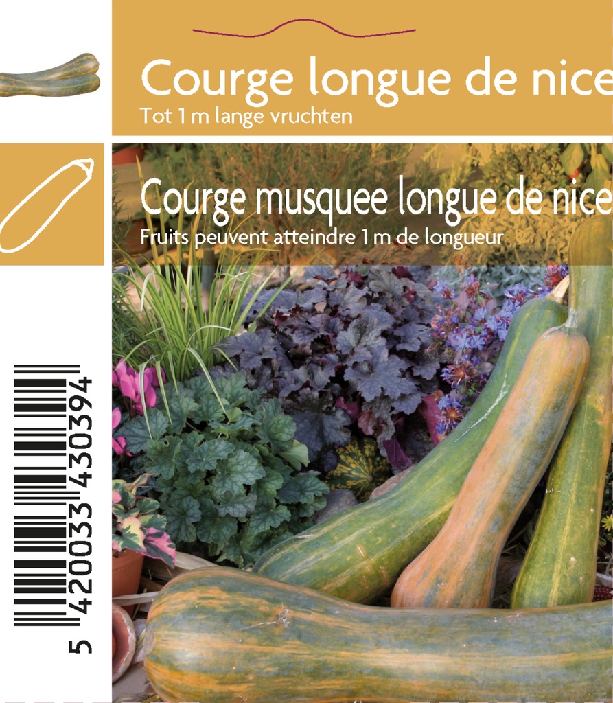 Courge musquée Longue de Nice