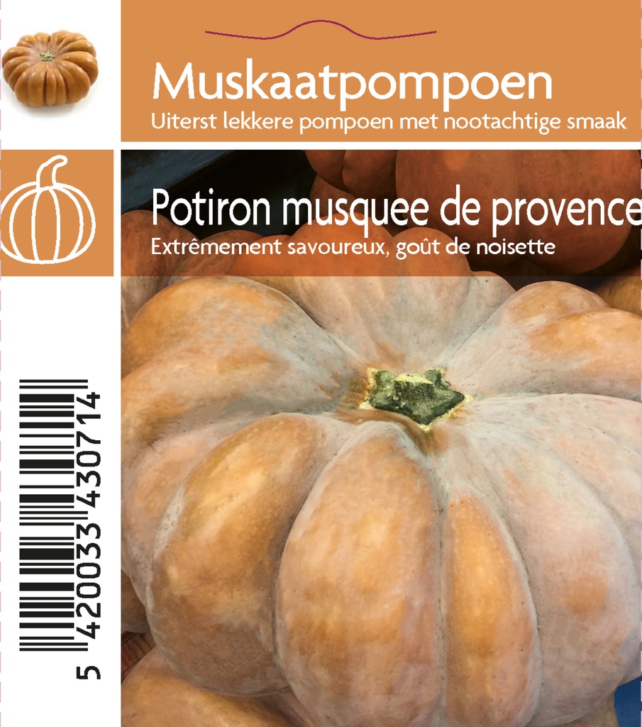 Potiron musquée de Provence