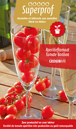 Tomate Cerise Crokini