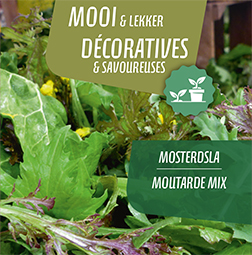 Moutarde mix pot 14