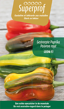 Poivron rayé Leon F1