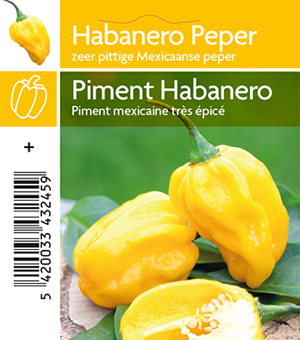 Piment Habanero jaune