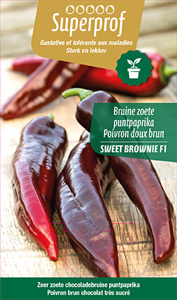 Poivron doux brun Sweet Brownie F1