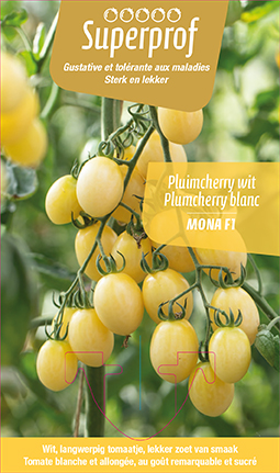 Tomate plumcherry blanche