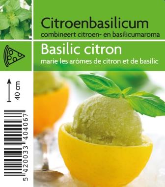 Basilic citron