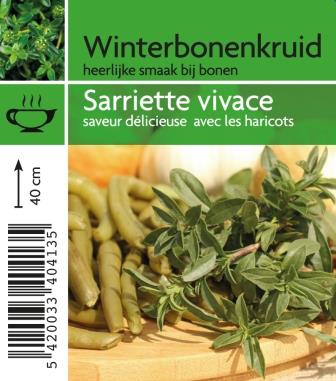 Sarriette vivace