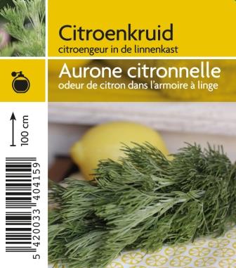 Aurone citronelle