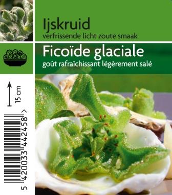Ficoéde glacial