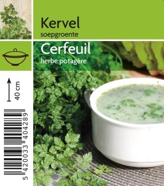 cerfeuil