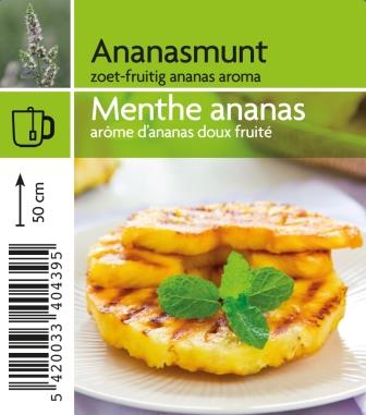 Menthe ananas