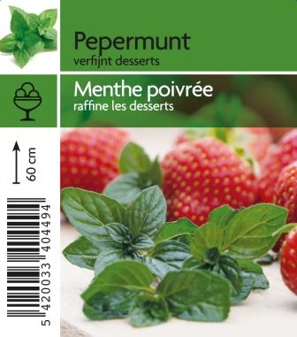 Menthe poivrée