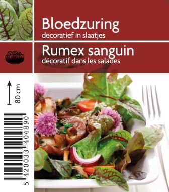 Rumex sanguin