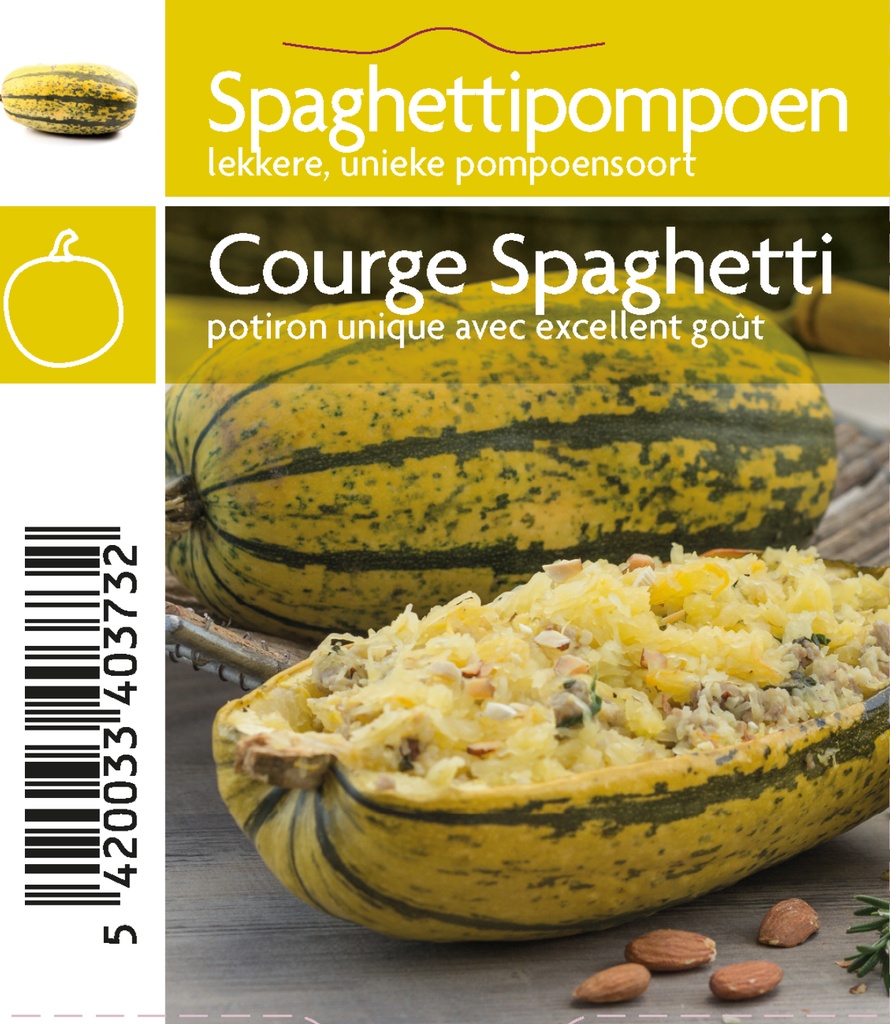 Courge spaghetti pot 10.5