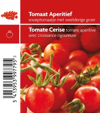Tomate cerise pot 10,5