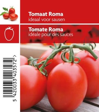 Tomate Roma pot 10,5