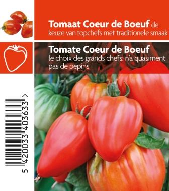 Tomate Coeur de boeuf  pot 10,5