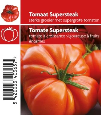 Tomaat Buffalo Steak pot 10.5