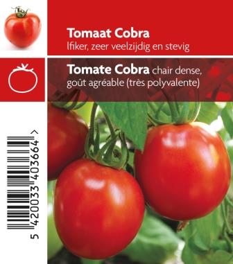 Tomaat cobra pot 10,5