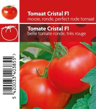 Tomate Cristal pot 10,5