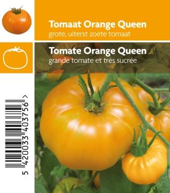 Tomate orange queen