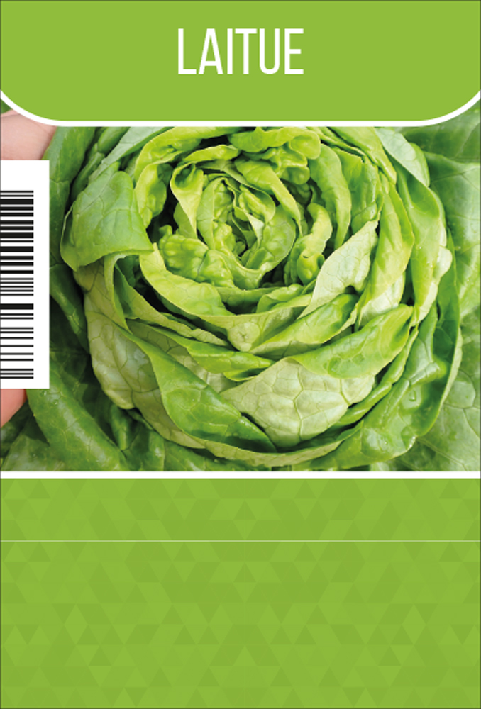 Laitue   tray (8x6)