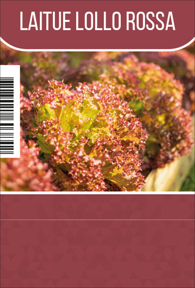 Lollo Rossa tray (8x6)