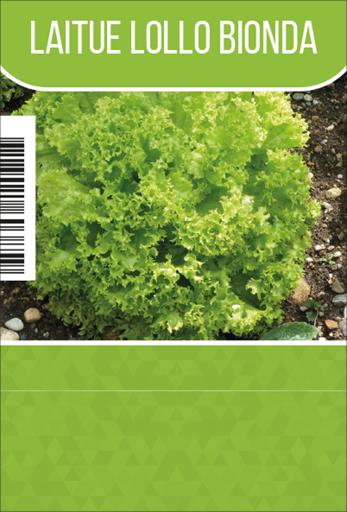 Lollo Bionda tray (8x6)