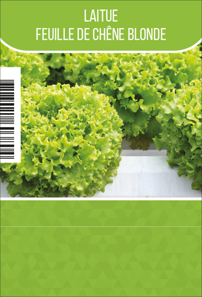 Feuille de chéne vert tray (8x6)