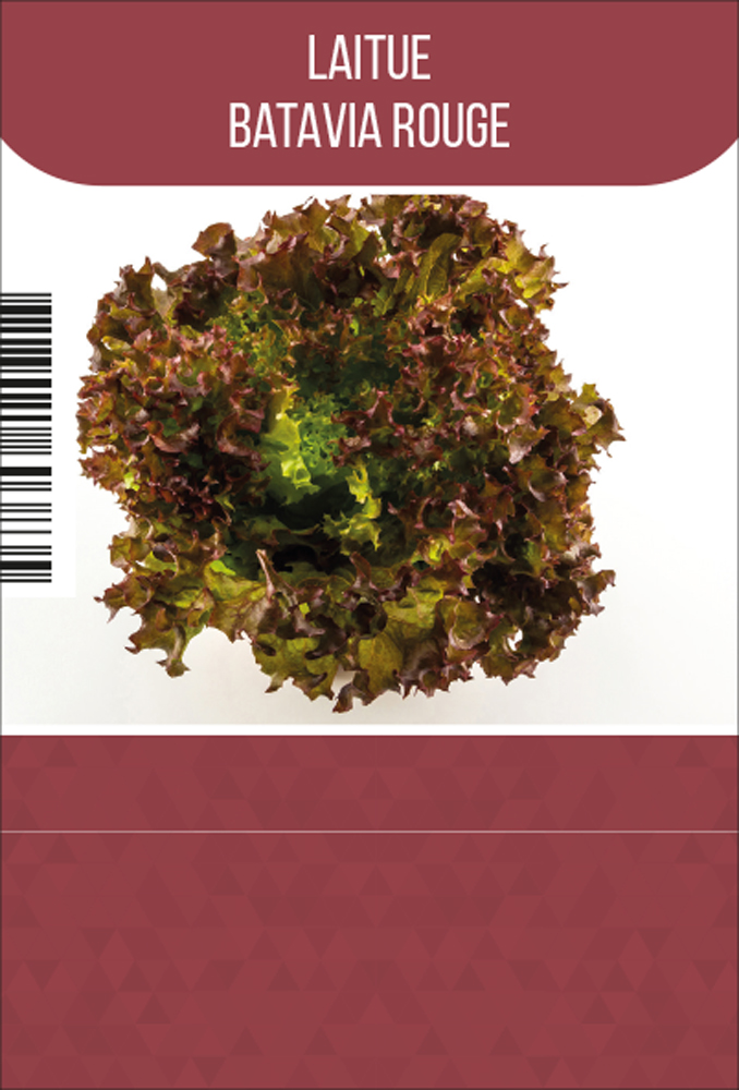 Batavia rouge tray (8x6)