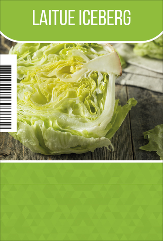 Laitue iceberg par tray (8x6)