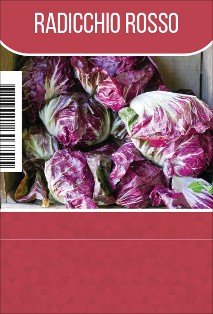 Radicchio rosso per tray (8x6)