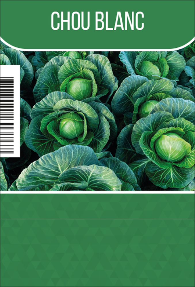 Chou blanc tray (8x6)