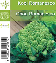 Chou romanesco par tray (8x6)