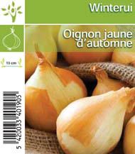 Oignon jaune d'hiver