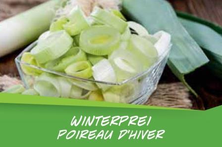 poireau d'hiver