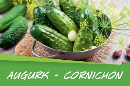 Cornichon barq. 6