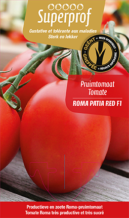 Tomate greffée Roma