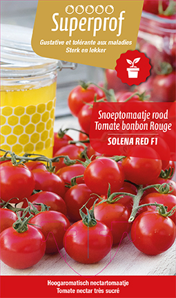 Tomate nectar très sucré