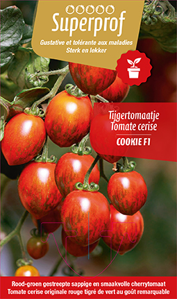 Tomate cerise rouge tigré