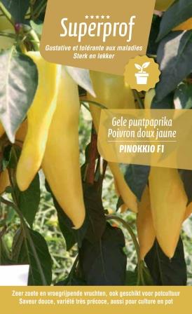 Poivron jaune doux