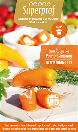 Poivron snack mini orange