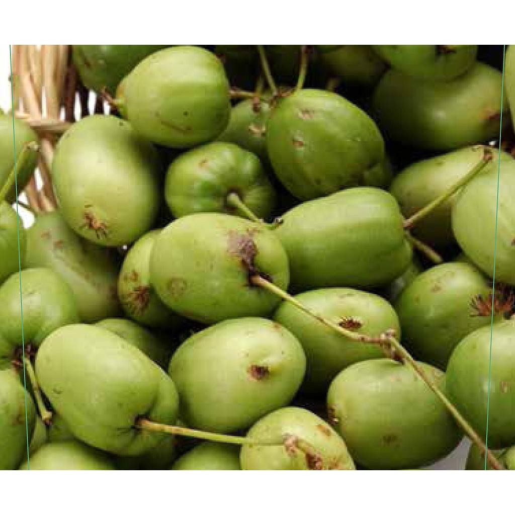 mini-kiwi