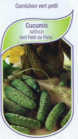 Cornichon pot 9X8X8