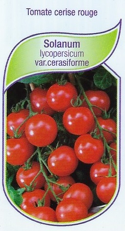 Tomate cerise rouge pot 9X8X8